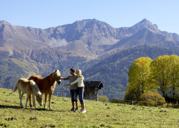 sommer pferde ferienhaus auer serfaus